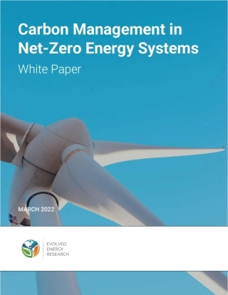 碳中和能源系统中的碳管理（英）-ERR