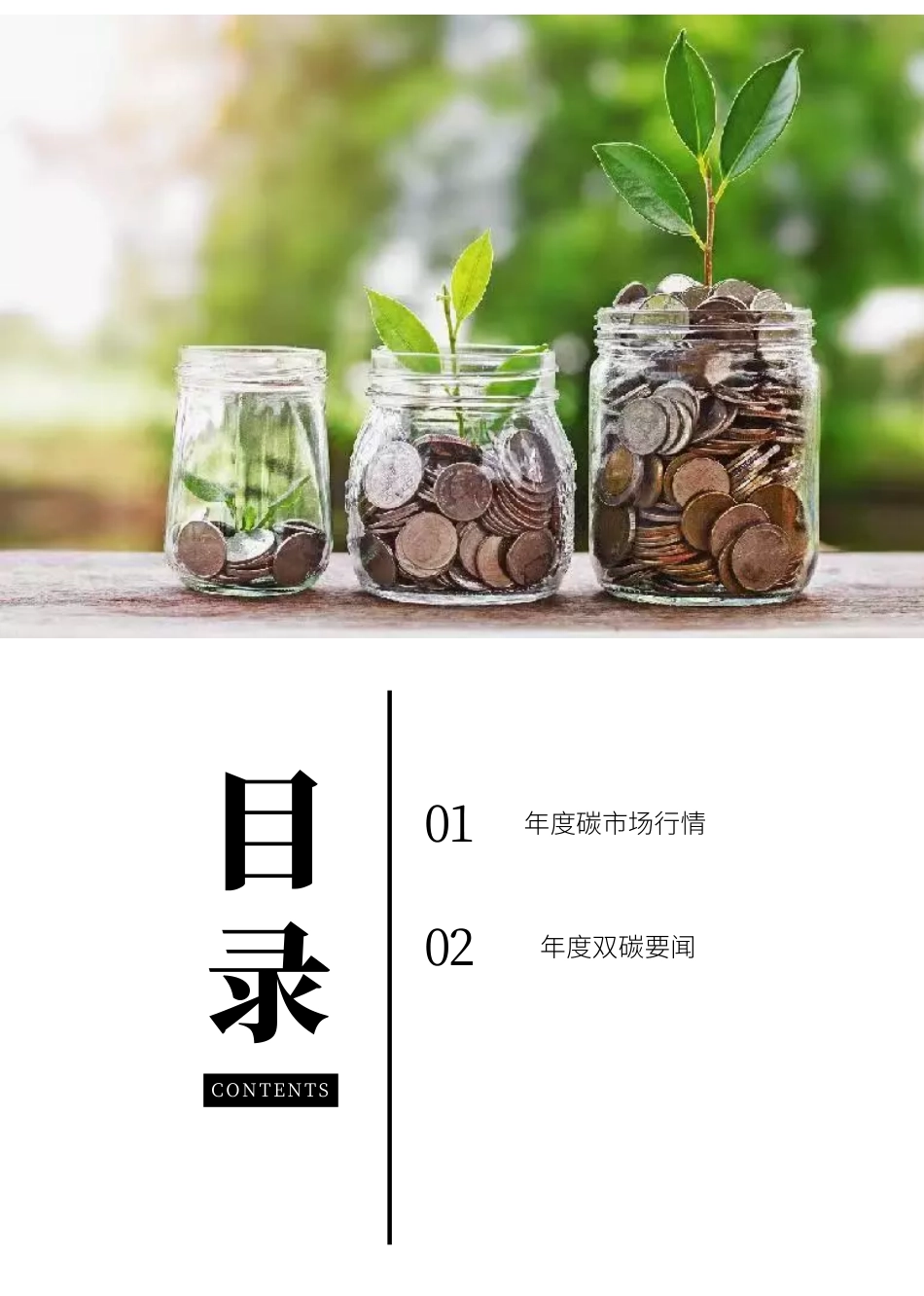 碳资产联合发展中心：2022双碳年报_第2页