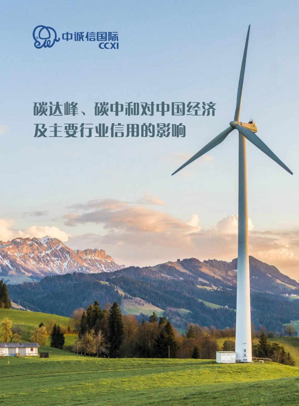 碳达峰、碳中和对中国经济及主要行业信用的影响_第1页