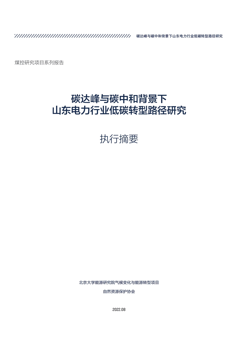 碳达峰与碳中和背景下山东电力行业低碳转型路径研究_第3页
