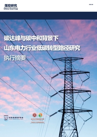 碳达峰与碳中和背景下山东电力行业低碳转型路径研究