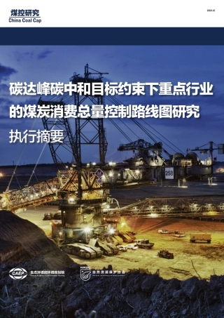 碳达峰碳中和目标约束下重点行业的煤炭消费总量控制路线图研究（执行摘要）-自然资源保护协会