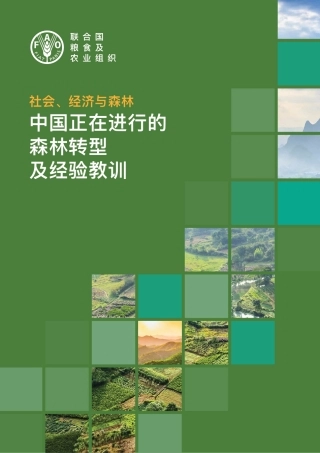 社会、经济与森林：中国正在进行的森林转型及经验教训-联合国粮农组织