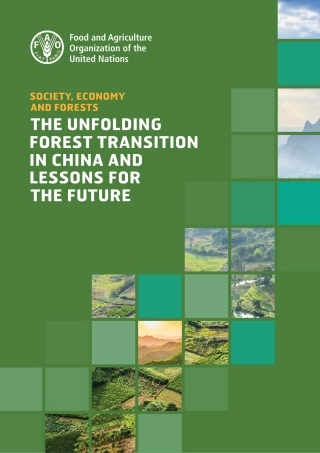 社会、经济与森林：中国正在进行的森林转型及经验教训（英）-联合国粮农组织