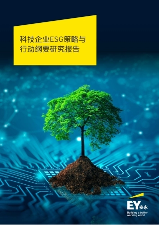 科技企业ESG策略与行动纲要研究报告-安永