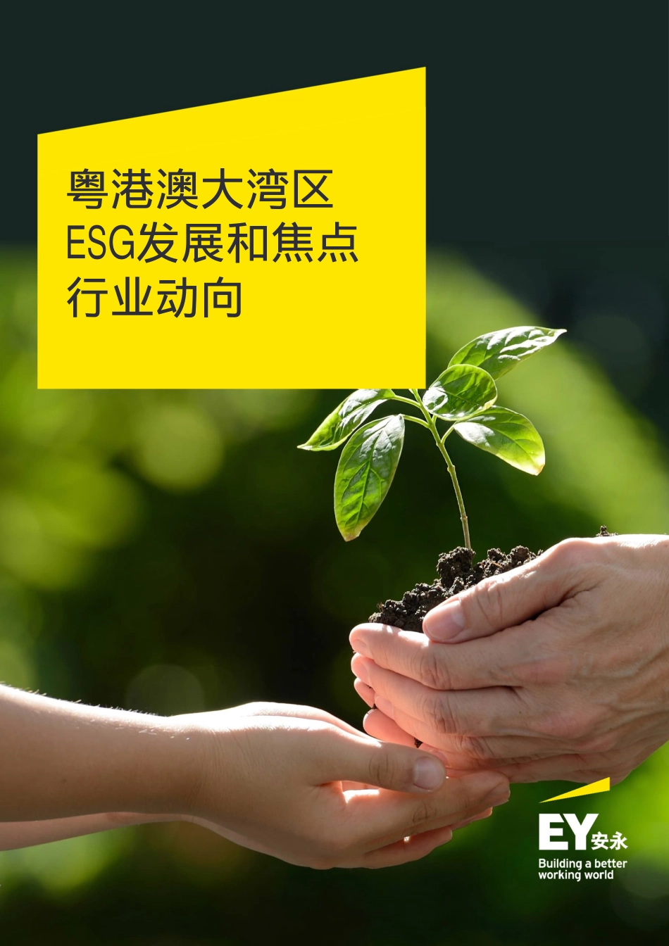 粤港澳大湾区ESG发展和焦点行业动向（中文）---安永_第1页