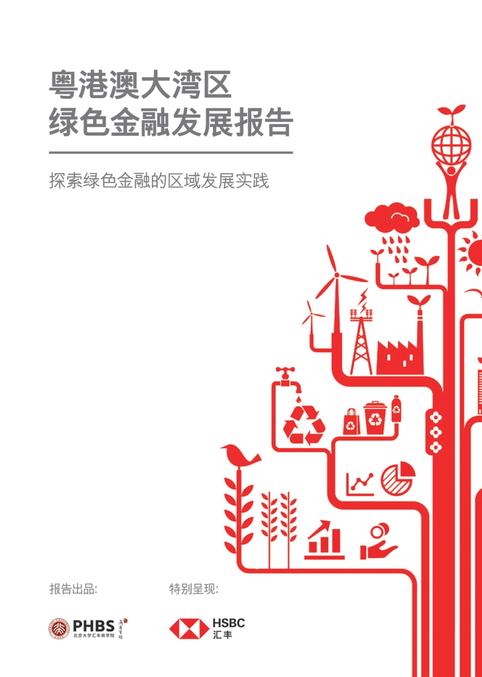 粤港澳大湾区绿色金融发展报告---HSBC_第1页
