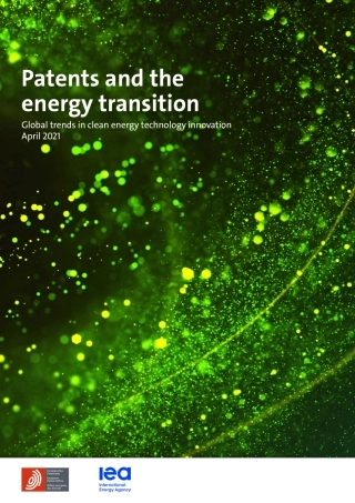 专利和能源转型：清洁能源技术创新的全球趋势(英)-IEA