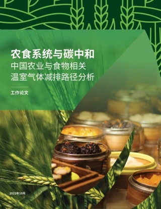 中国农业与食物相关温室气体减排路径分析--绿色创新发展中心