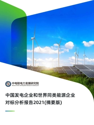 中国发电企业和世界同类能源企业对标分析报告2021（摘要版）-中电联电力发展研究院
