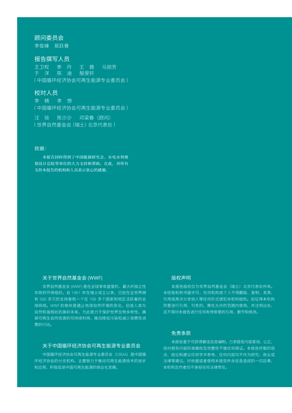中国可再生能源经验总结报告——以风力发电和光伏发电为主_第2页