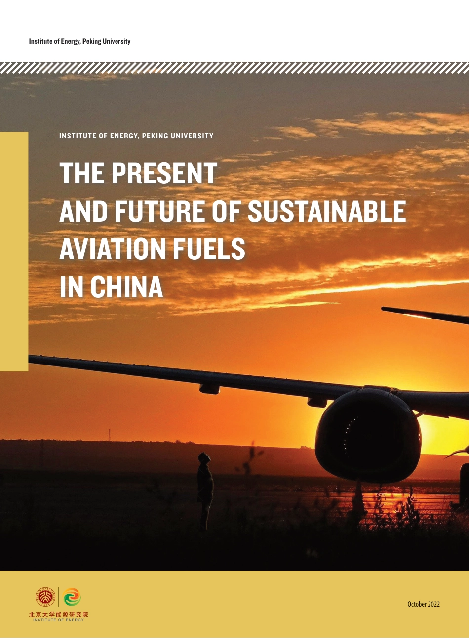 中国可持续航空燃料发展研究报告：现状与展望（英）-北京大学能源研究院_第1页