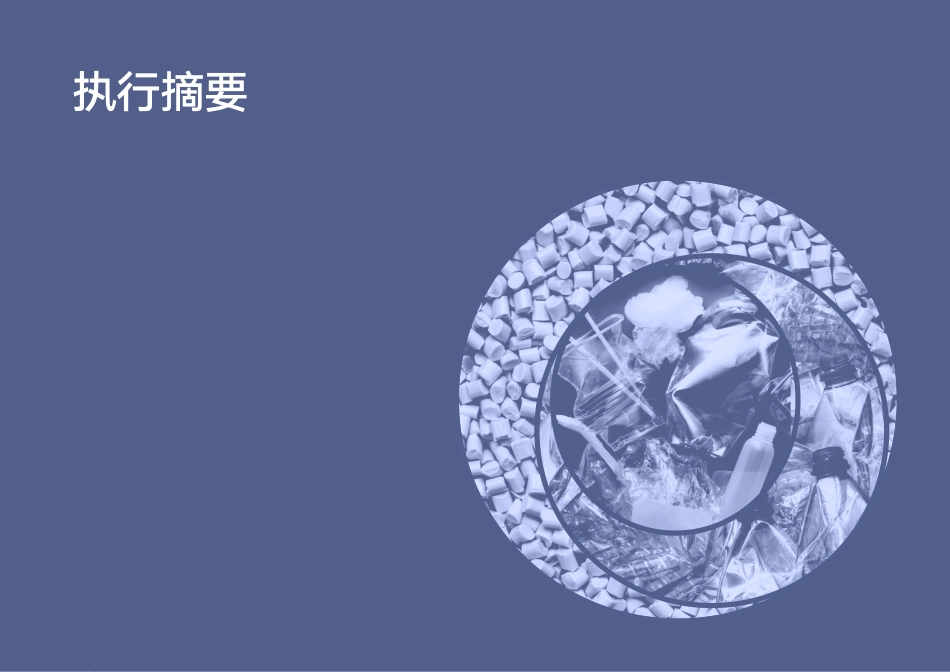 中国塑料包装产业循环经济发展战略研究报告-清华大学_第3页