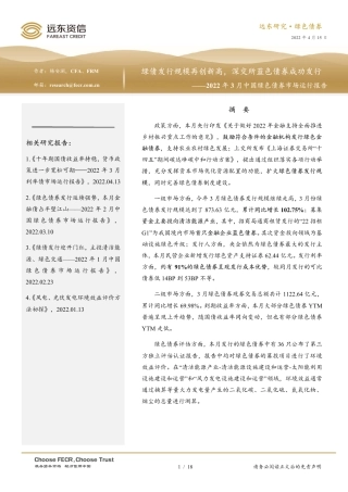 中国绿色债券市场运行报告：绿债发行规模再创新高，深交所蓝色债券成功发行-20220415-远东资信-18页