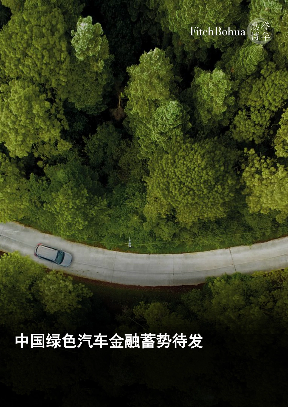 中国绿色汽车金融蓄势待发-惠誉博华_第1页