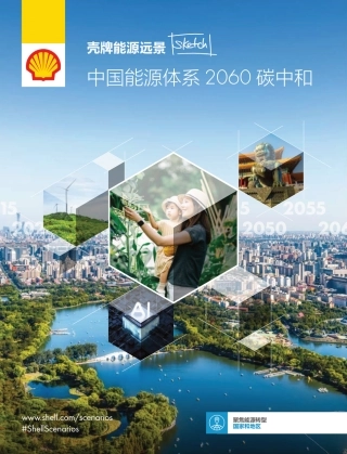 中国能源体系2060 碳中和报告