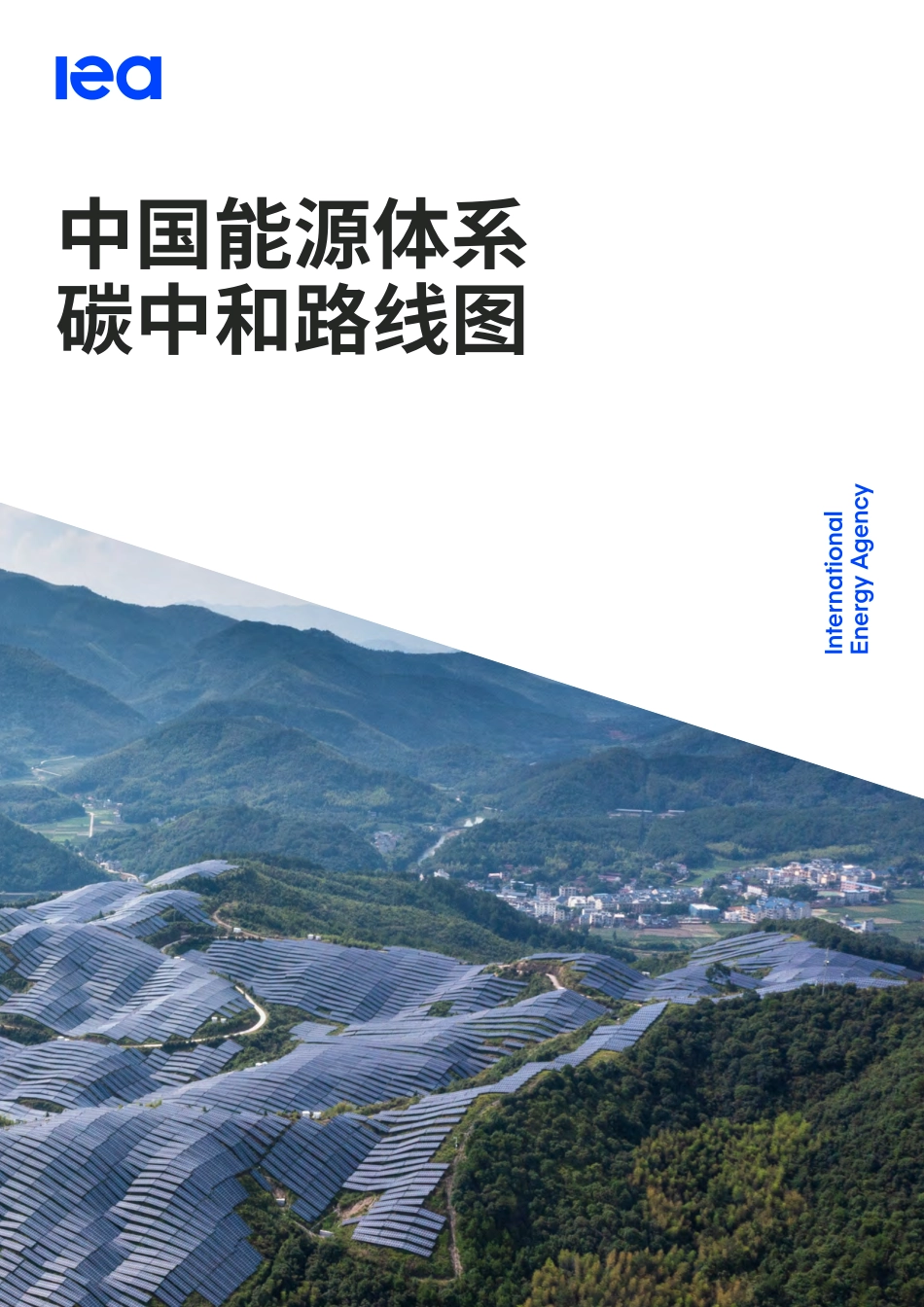 中国能源体系碳中和路线图中文完整版_第1页