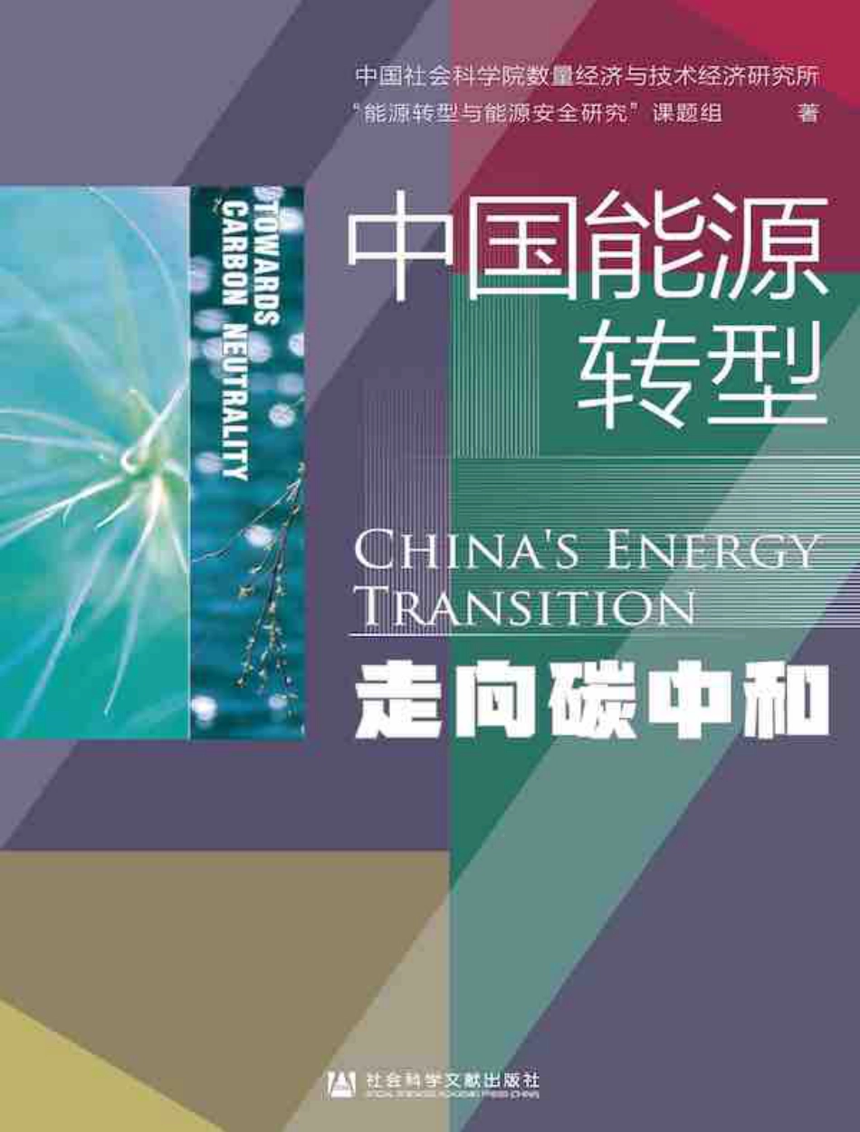 中国能源转型：走向碳中和_第1页