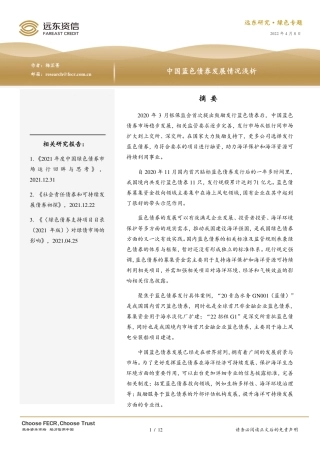 中国蓝色债券发展情况浅析-远东资信