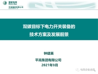 双碳目标下电力开关装备的技术方案及发展前景