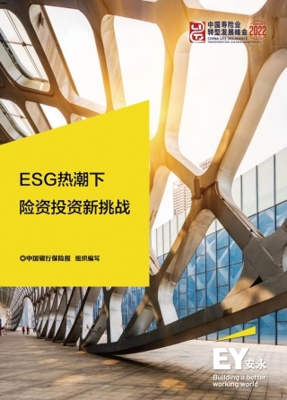 ESG热潮下险资投资新挑战-安永