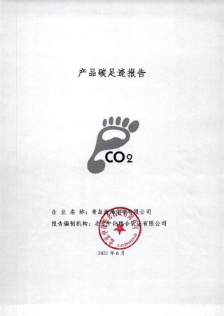 【化学】青岛海湾化学有限公司碳足迹核查报告