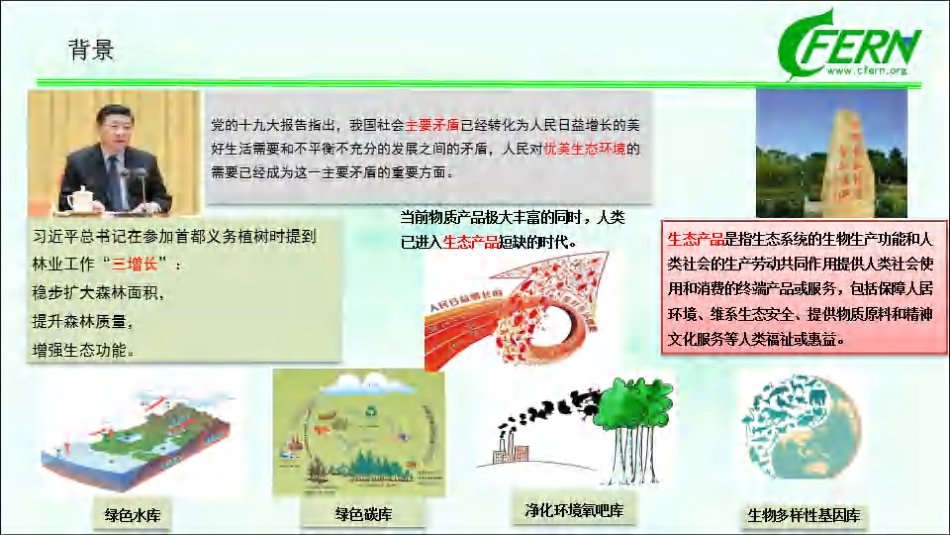01、100页森林碳汇PPT：碳中和途径、碳交易等（森林碳汇全口径，生态感知碳中和）_第2页