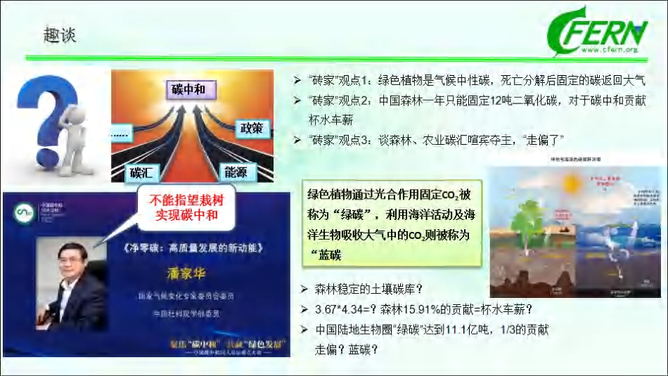 01、100页森林碳汇PPT：碳中和途径、碳交易等（森林碳汇全口径，生态感知碳中和）_第3页