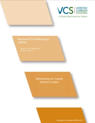 VM0024-海岸湿地创建方法学