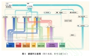 图33-碳循环示意图