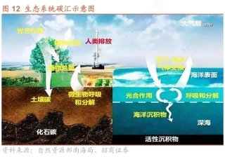 图41-碳汇示意图