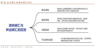 图49-森林碳汇与林业碳汇的区别