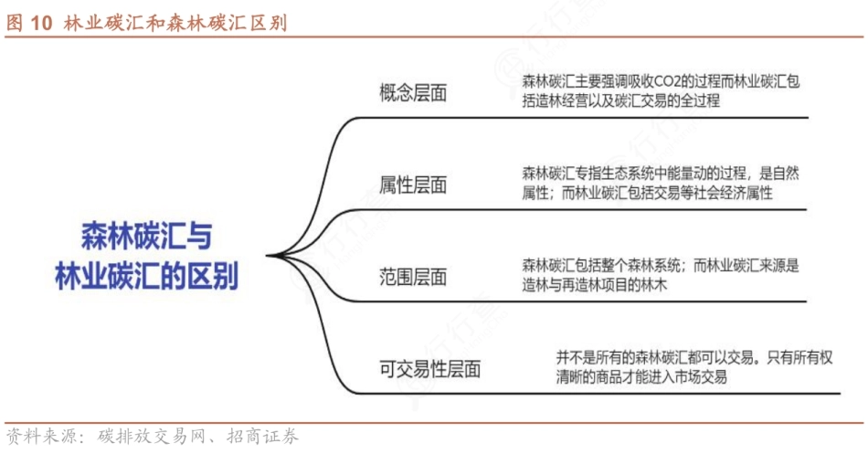图49-森林碳汇与林业碳汇的区别_第1页