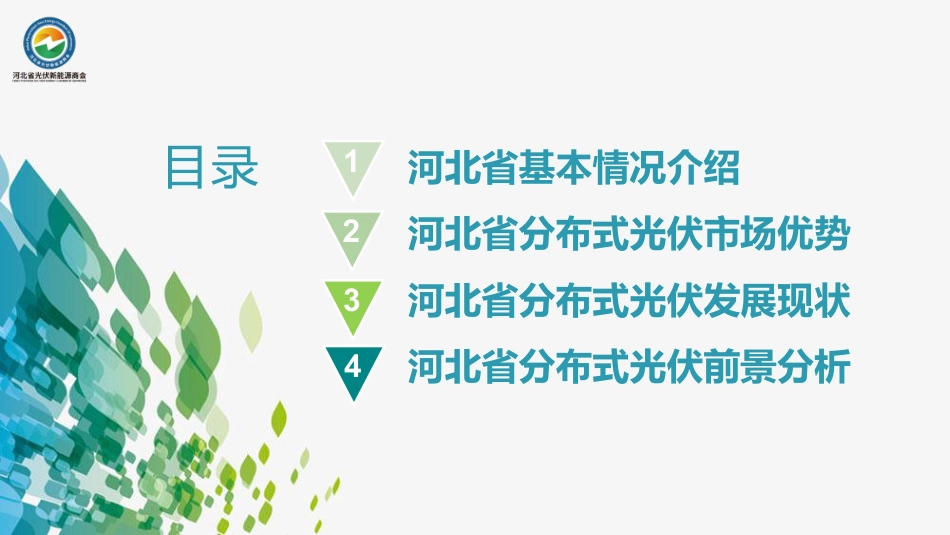 马献立：河北省分布式光伏市场回顾与展望_第3页