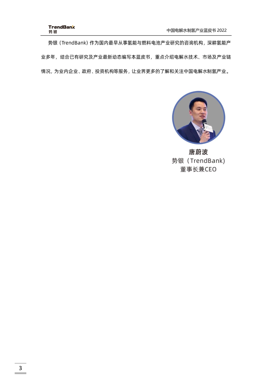 中国电解水制氢产业蓝皮书2022_第3页