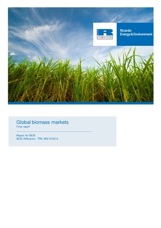 全球生物质能市场研究分析
