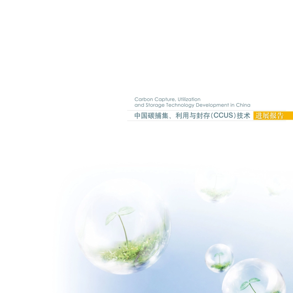 中国碳捕集、利用与封存(CCUS)技术进展报告_第2页