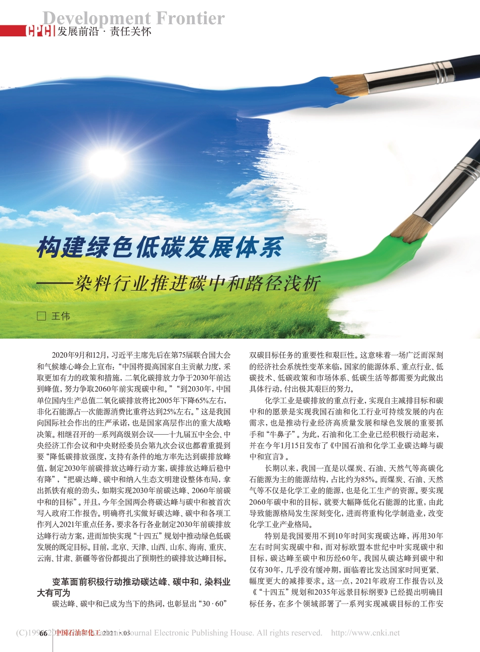 构建绿色低碳发展体系——染料行业推进碳中和路径浅析_王伟_第1页