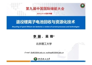 01-李丽北理工20190425杭州会议-GK