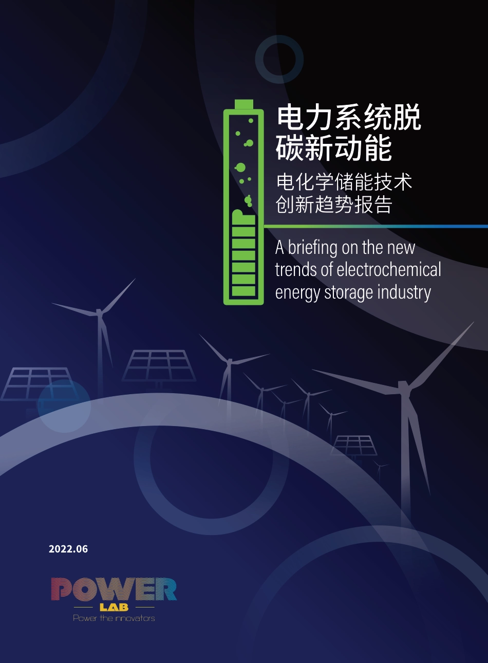 02 电化学储能技术创新趋势报告：电力系统脱碳新动能_第1页