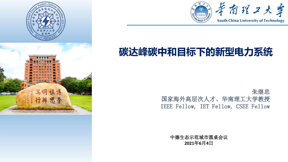 04 碳达峰碳中和目标下的新型电力系统_第1页