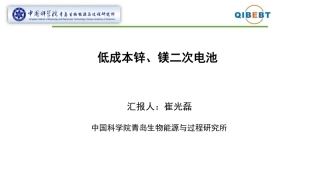 崔光磊--低成本锌镁二次电池