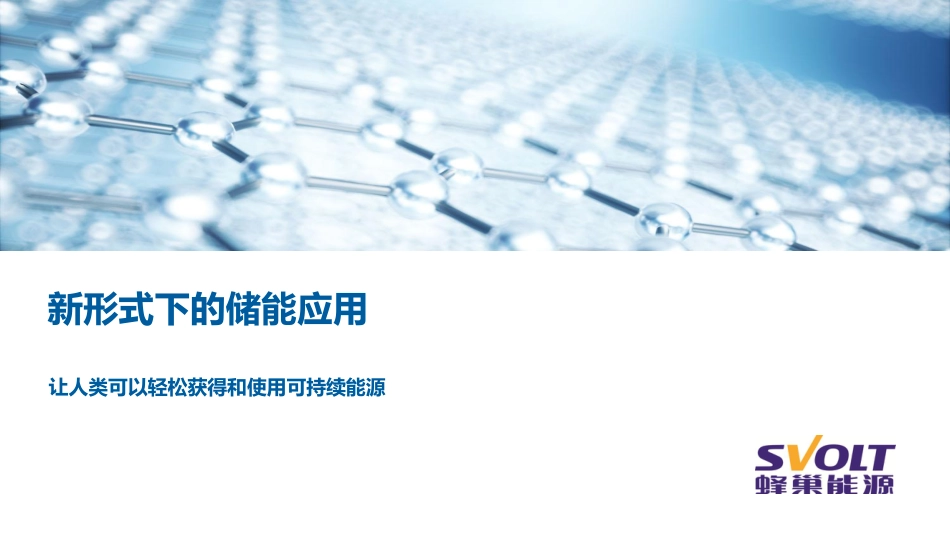 新形式下的储能应用—蜂巢能源储能大会_第1页