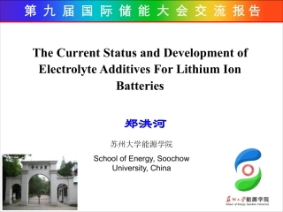 郑洪河-杭州电解液报告