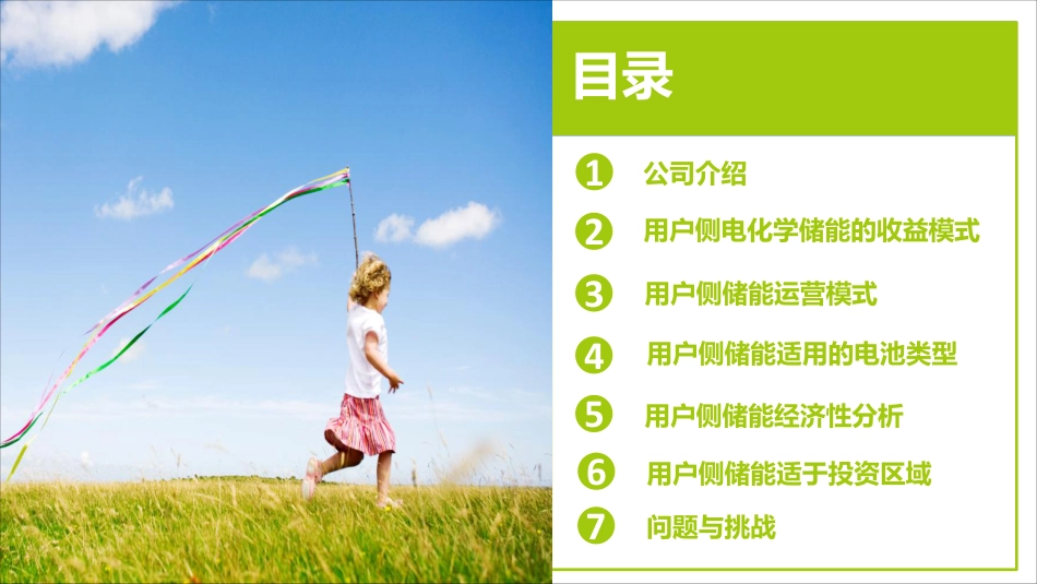郑海兴（南网）-工业用户侧电化学储能应用及其经济性分析_第3页