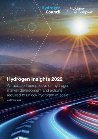 Hydrogen-氢能洞见2022—氢能市场发展和规模化解锁氢能所需行动的更新观点-12页