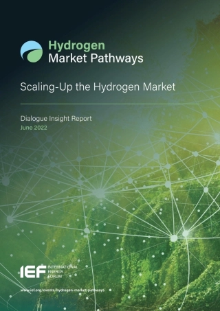 IEF-扩大氢气市场-对话洞察报告-33页