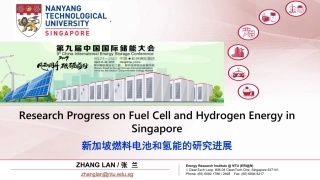 张兰-新加坡燃料电池和氢能的研究进展