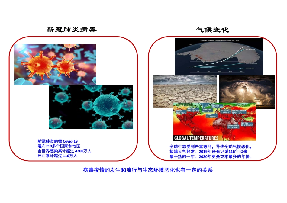 李灿院士：可再生能源规模化储能——绿色氢能和液态阳光甲醇_第2页