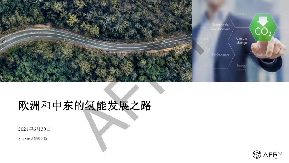 欧洲和中东的氢能发展之路-AFRY_第2页